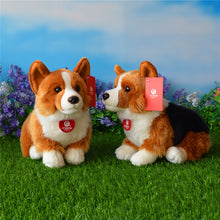 Load image into Gallery viewer, Pembrokeshire Welsh Corgi plush teddy