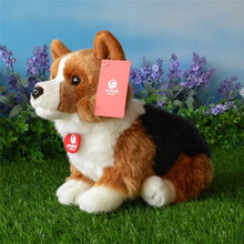 Load image into Gallery viewer, Pembrokeshire Welsh Corgi plush teddy